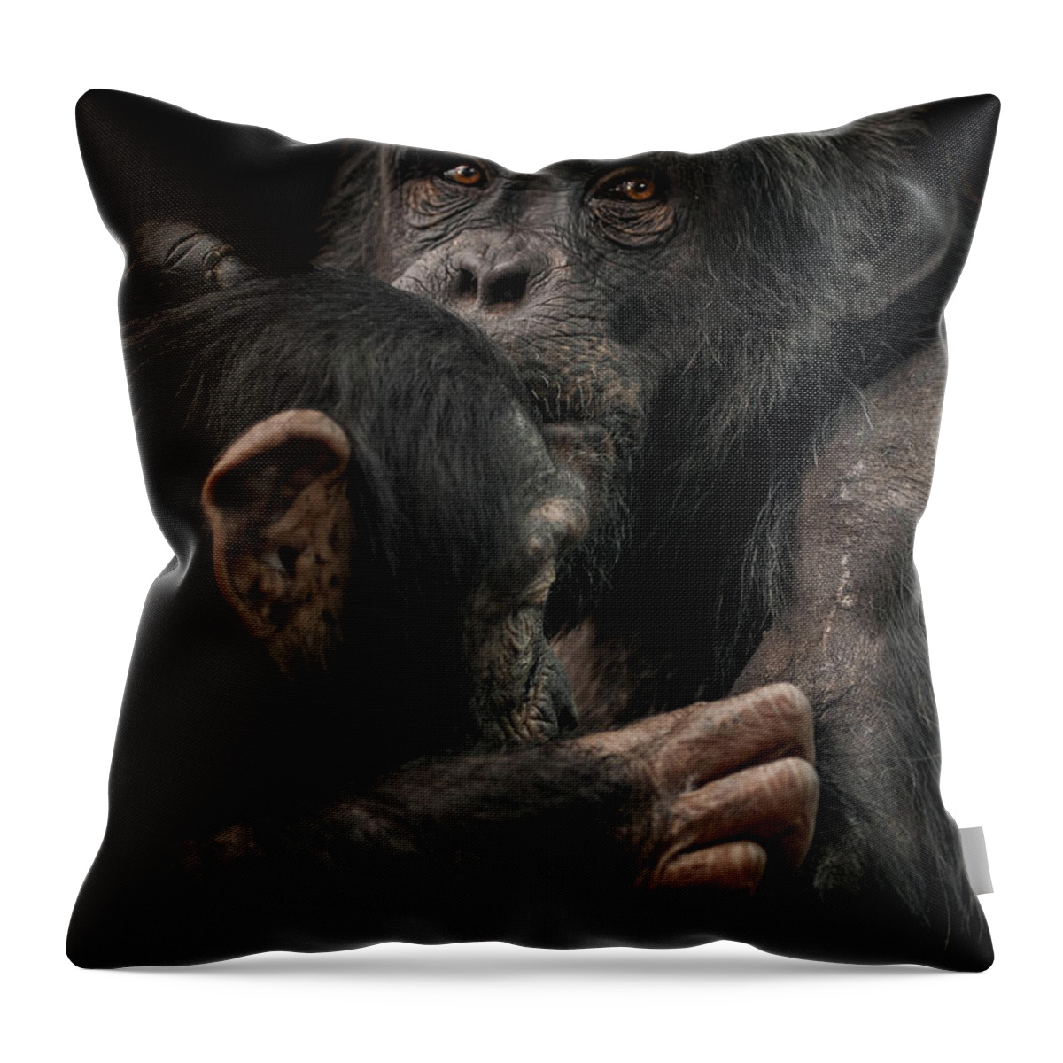 Tenderness Throw Pillow featuring the photograph Tenderness by Paul Neville