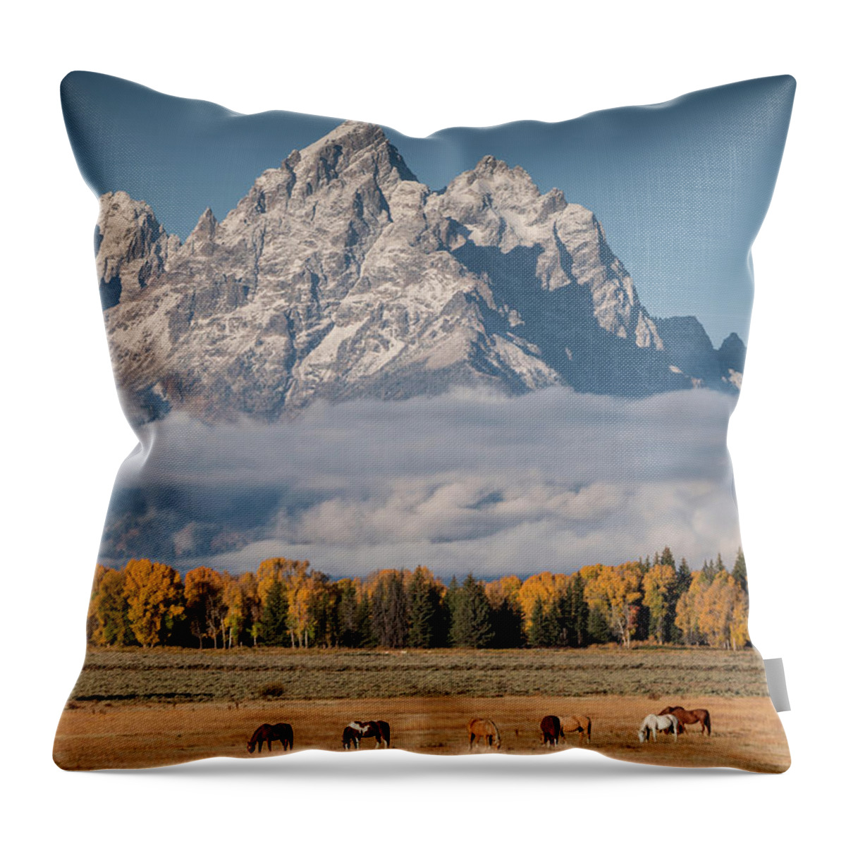 Horses Throw Pillow featuring the photograph Teton Horses by Wesley Aston