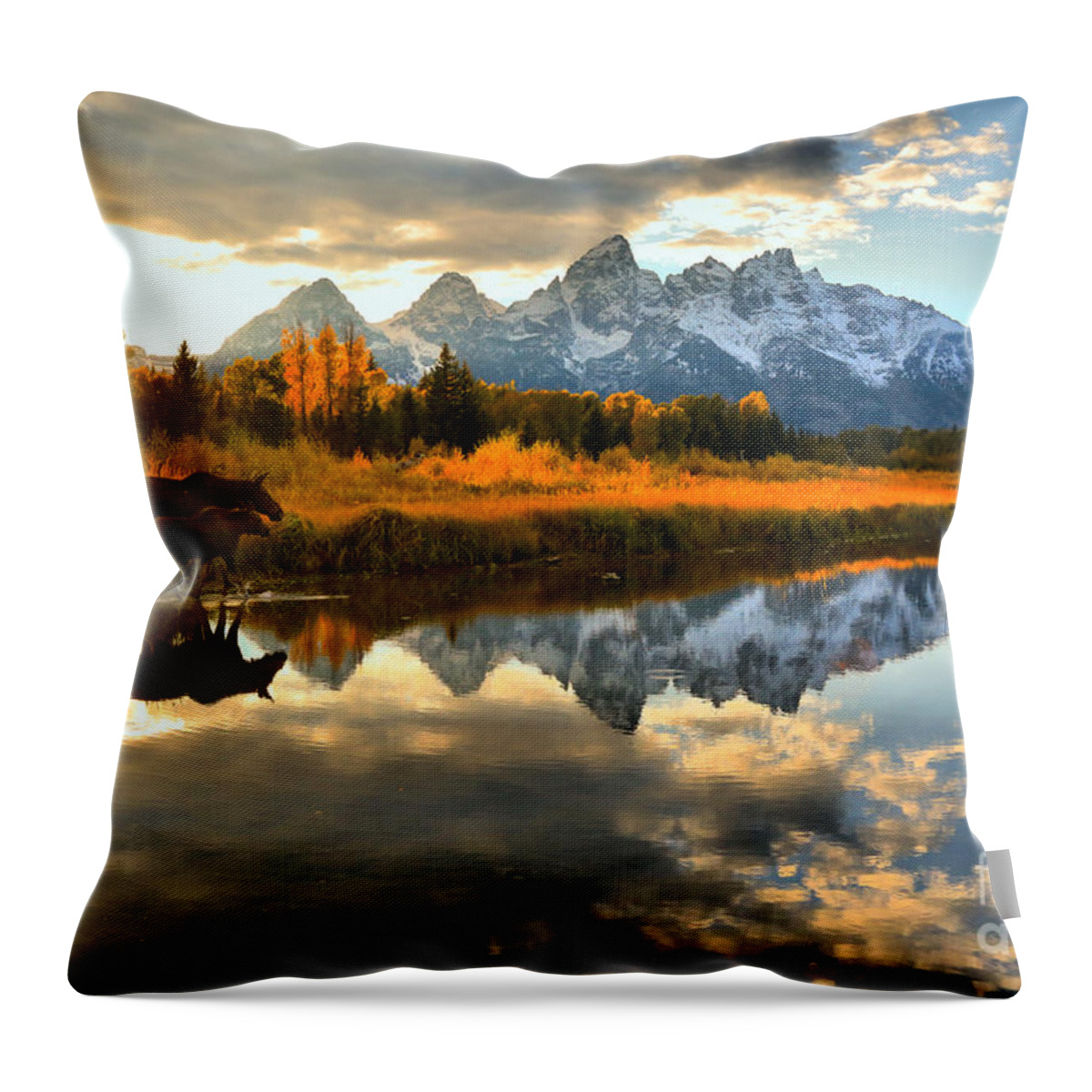 Schwabacher Landing Throw Pillow featuring the photograph Teton Moose Sunset Stroll by Adam Jewell