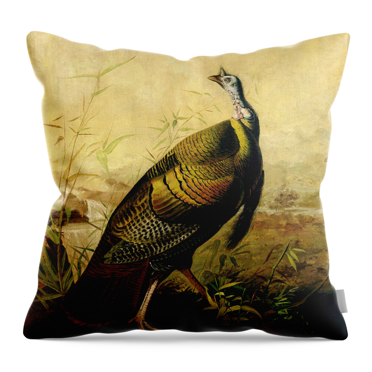 Turkey Throw Pillow featuring the painting The American Wild Turkey Cock by John James Audubon