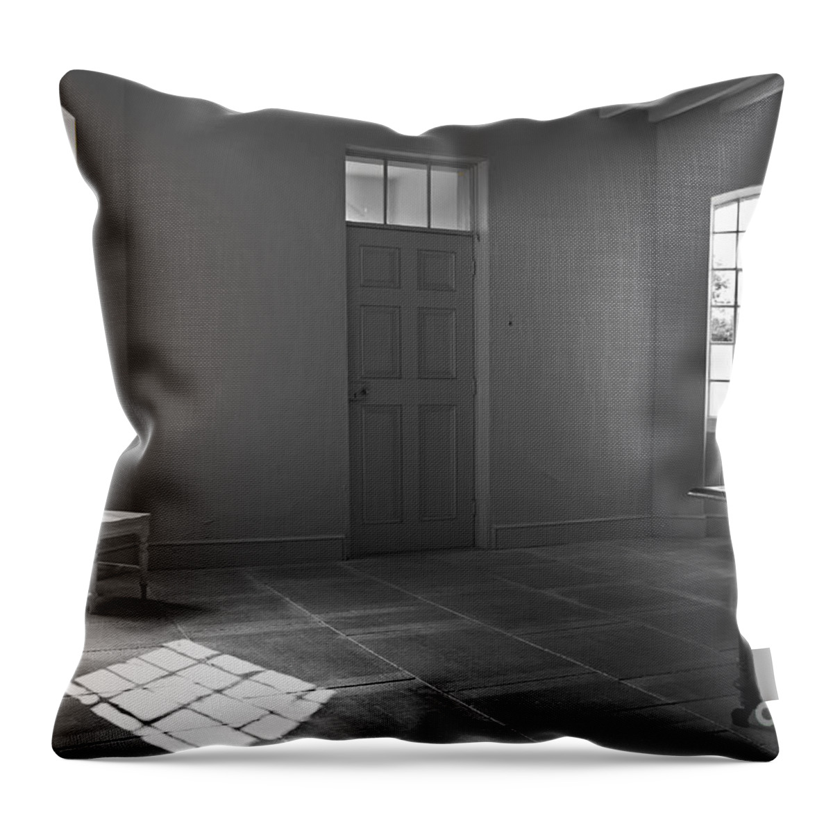 Welfare In Britain Throw Pillow featuring the photograph The Art of Welfare. Music. by Elena Perelman