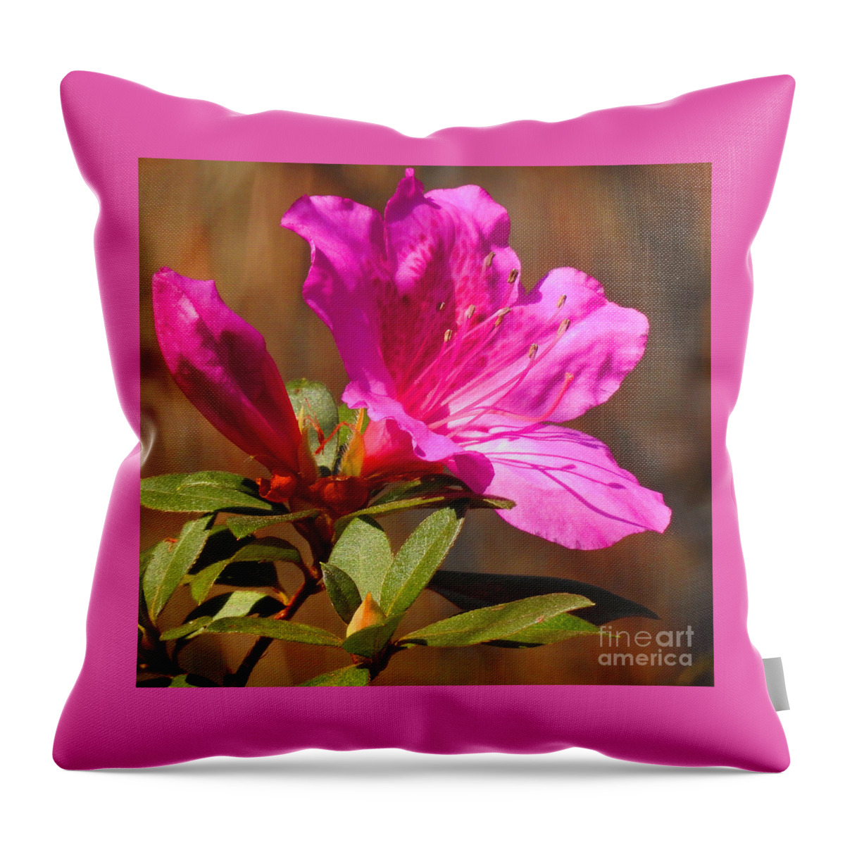 Flower Throw Pillow featuring the photograph The Blossoming by Jan Gelders