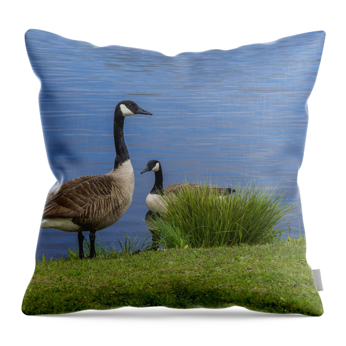 Geese Throw Pillow featuring the photograph The Canadians by Cathy Kovarik