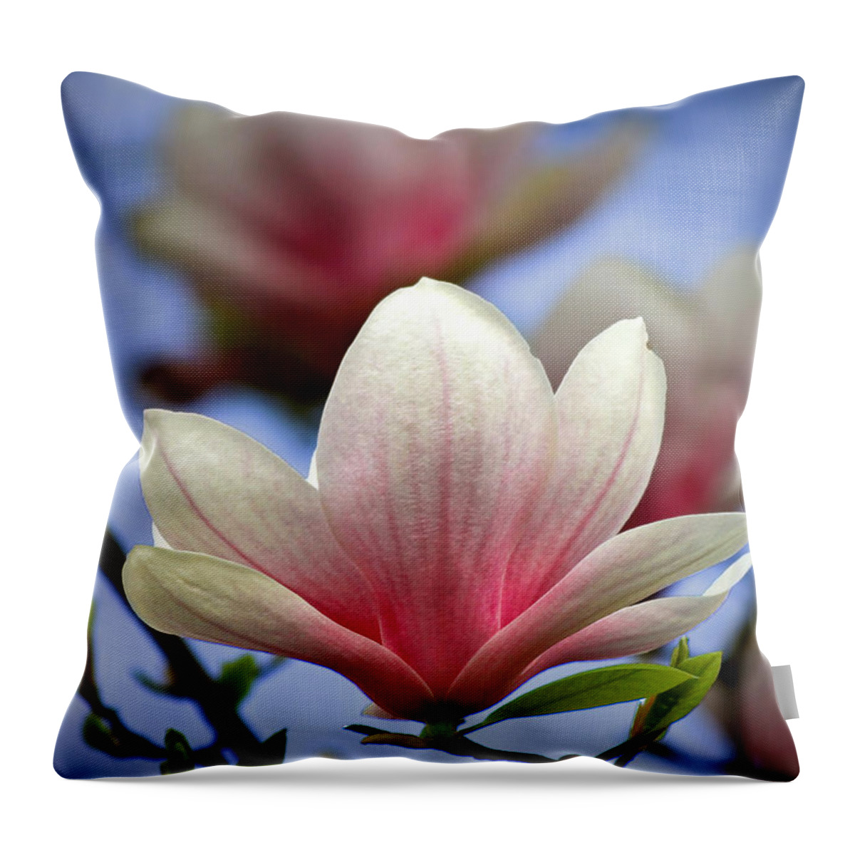Magnolia Throw Pillow featuring the photograph The Color of Spring by Evelina Kremsdorf