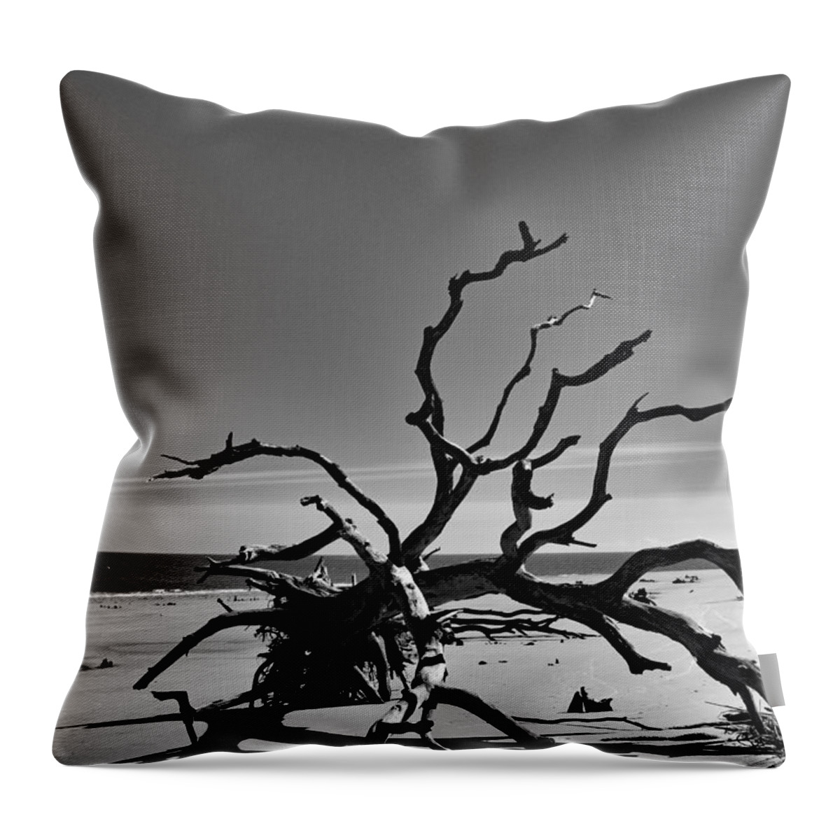 Nature Throw Pillow featuring the photograph The Dead in Black and White by DB Hayes