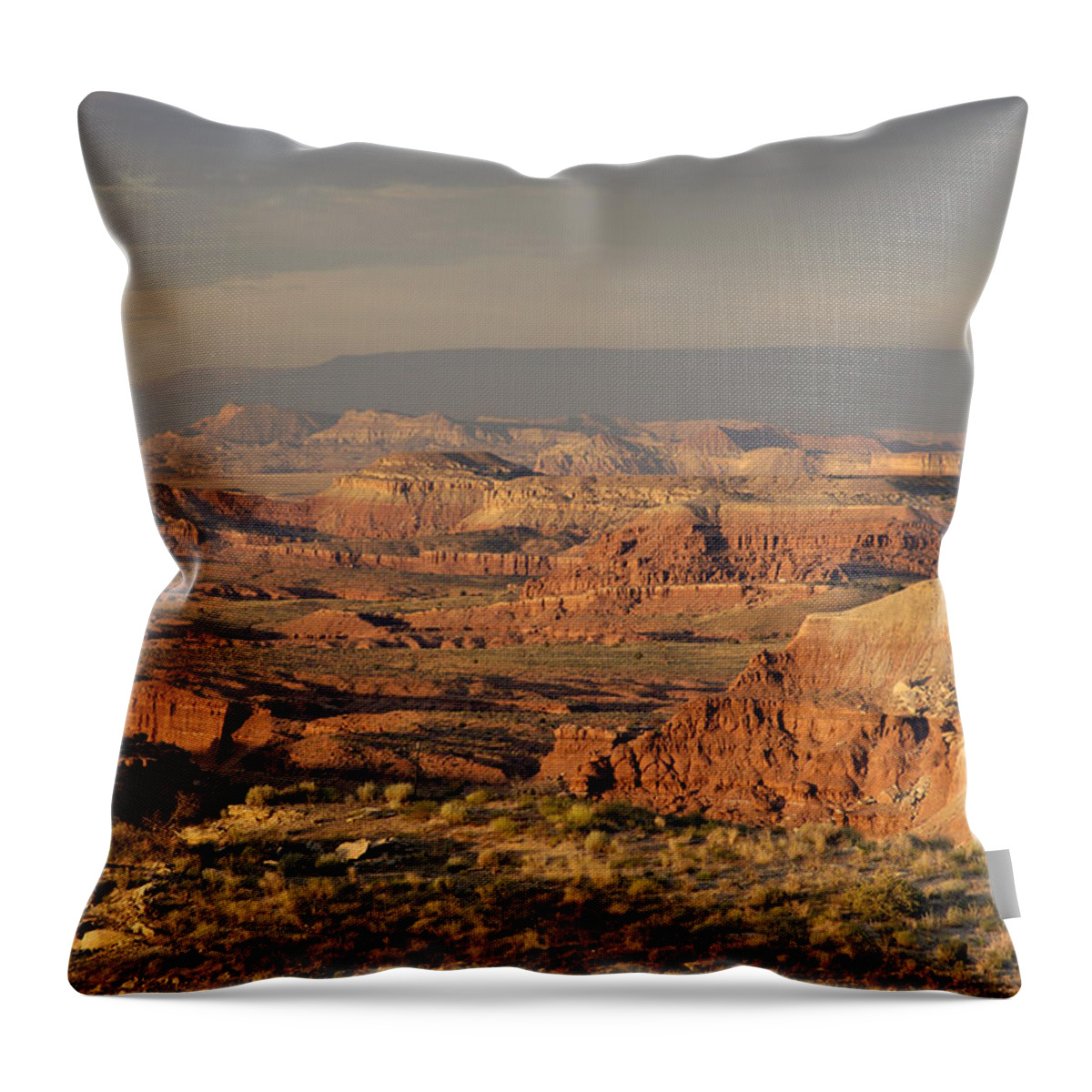 Dead Zone Throw Pillow featuring the photograph The Dead Zone - Utah by DArcy Evans