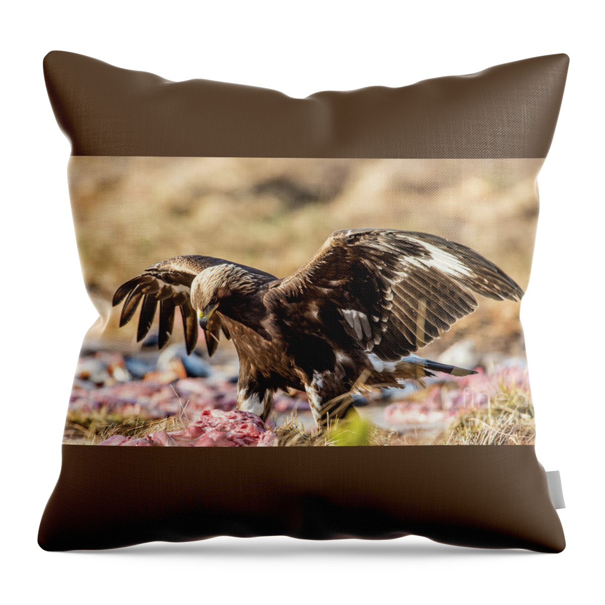 Golden Eagle Throw Pillow featuring the photograph The Eagle have come down by Torbjorn Swenelius