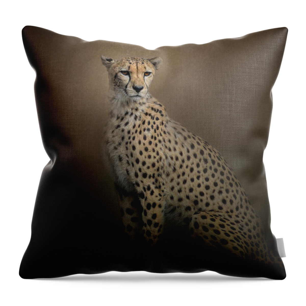 Jai Johnson Throw Pillow featuring the photograph The Elegant Cheetah by Jai Johnson