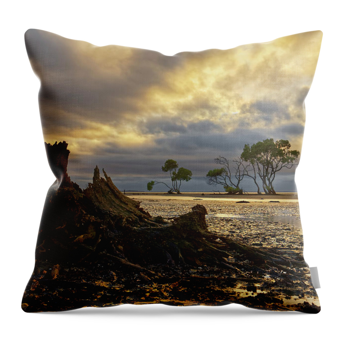 Decay Throw Pillow featuring the photograph The End of the World by Robert Charity