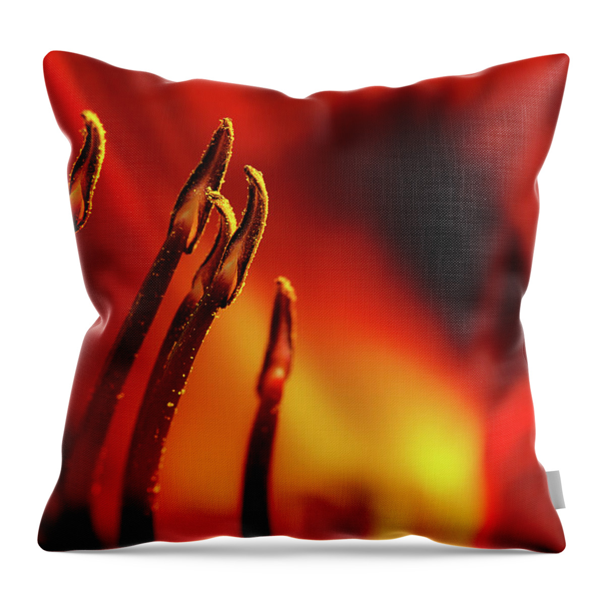 Lily Throw Pillow featuring the photograph The Fire Within by Mike Eingle