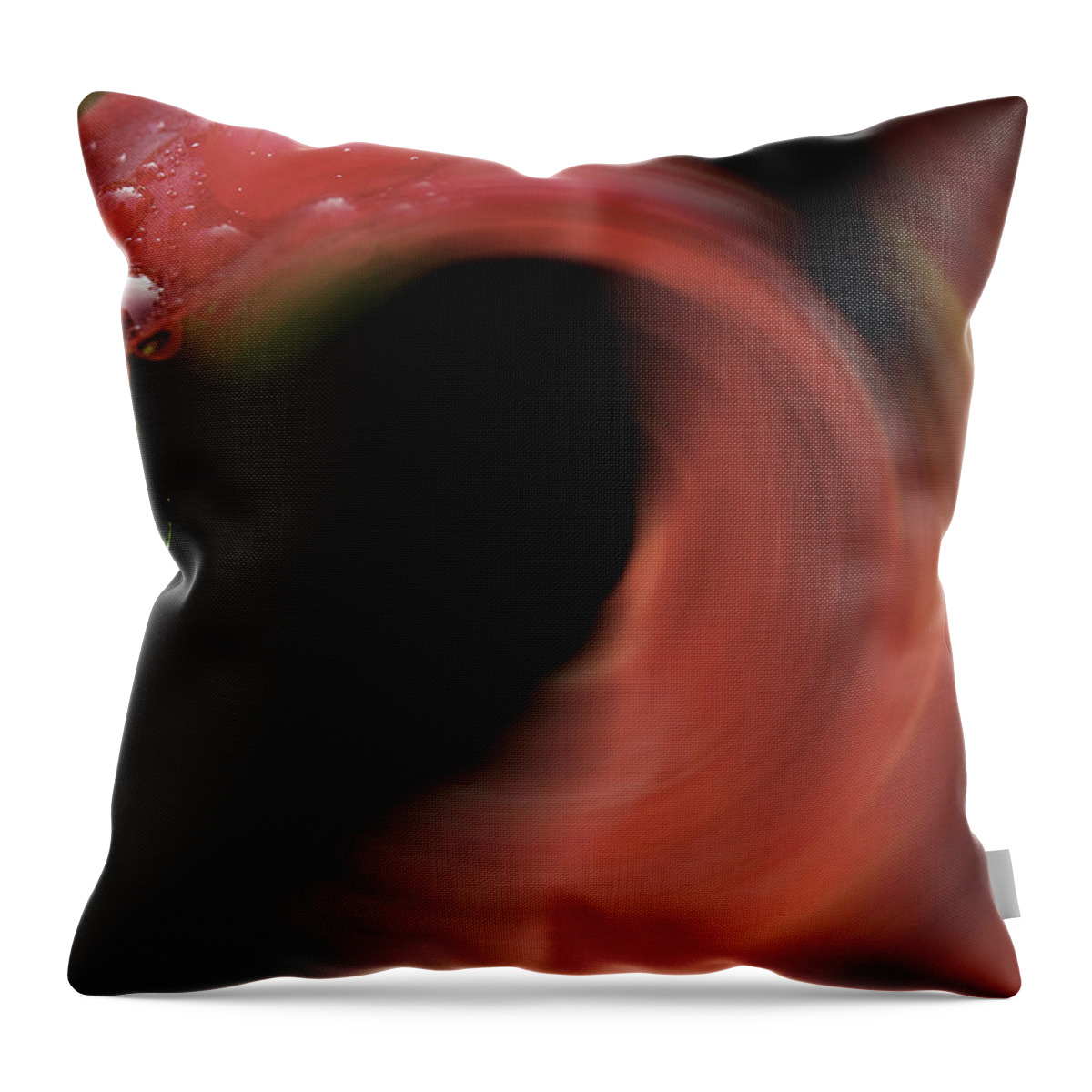 Lily Throw Pillow featuring the photograph The Flow Of Summer by Mike Eingle