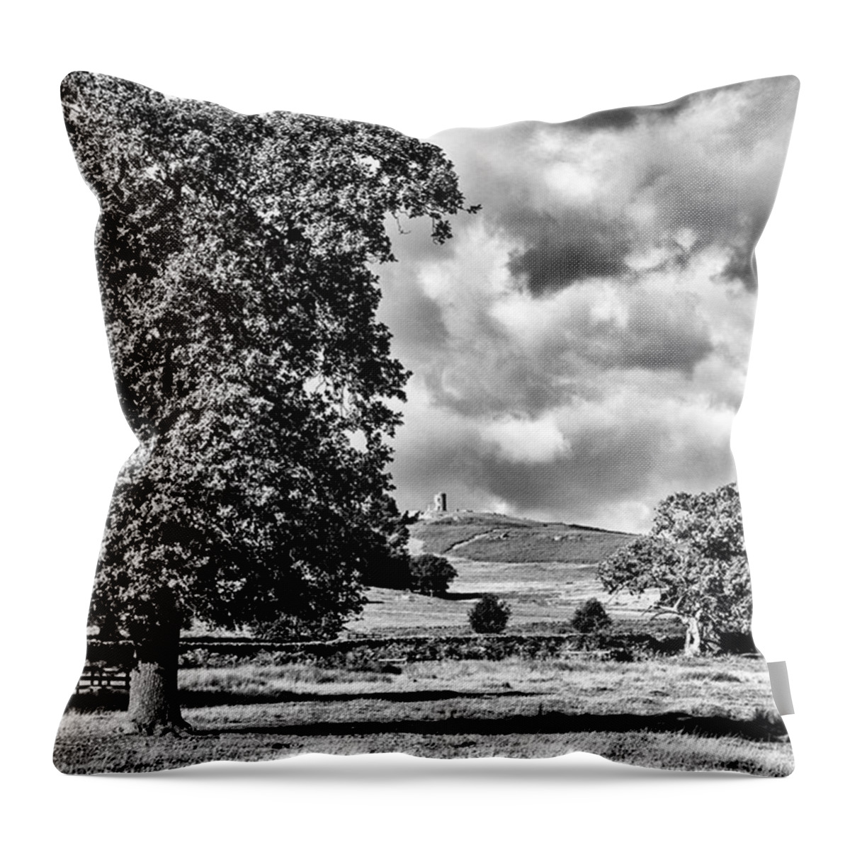 Parkland Throw Pillow featuring the photograph Old John Bradgate Park by John Edwards