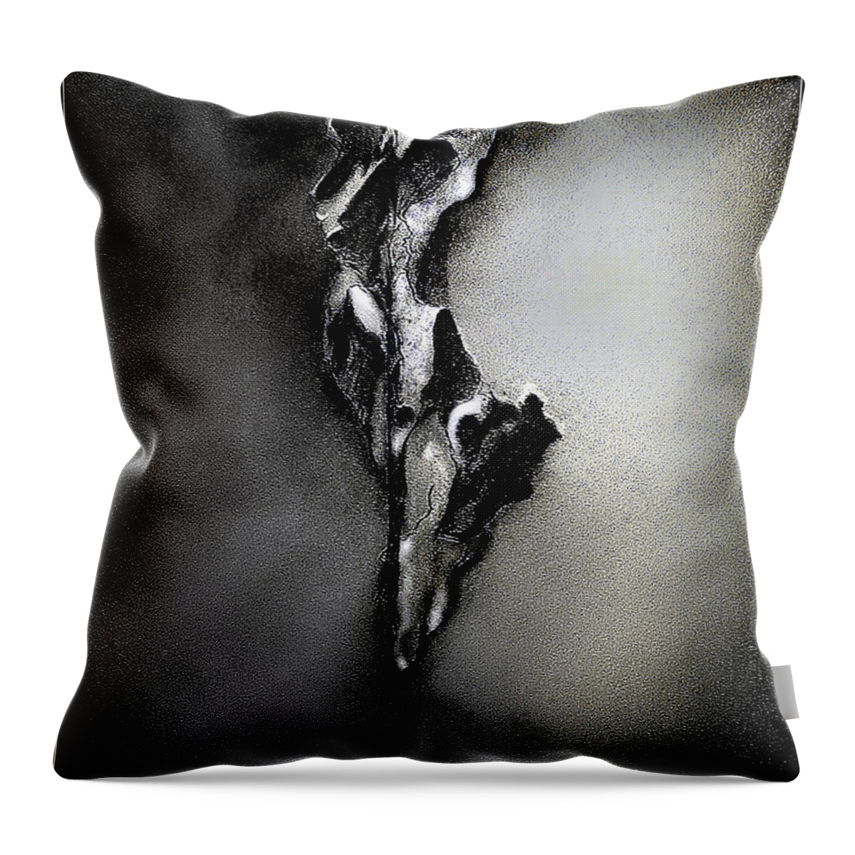  Throw Pillow featuring the drawing The Gift by James Lanigan Thompson MFA