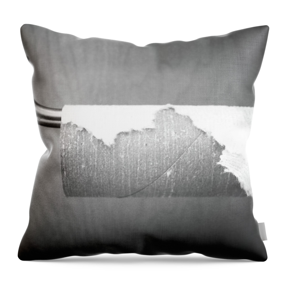 Bathroom Throw Pillow featuring the photograph The Last Roll- Fine Art Photograph by Linda Woods by Linda Woods