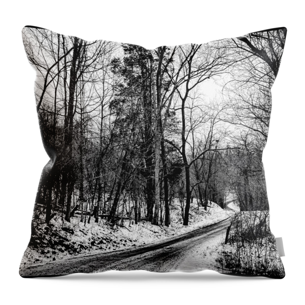68steelphotos Throw Pillow featuring the photograph The Lonely Road by Scott Bryan