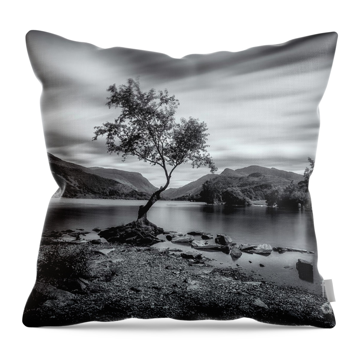 Llyn Padarn Throw Pillow featuring the photograph The lonely tree at Llyn Padarn lake - Part 2 by Mariusz Talarek