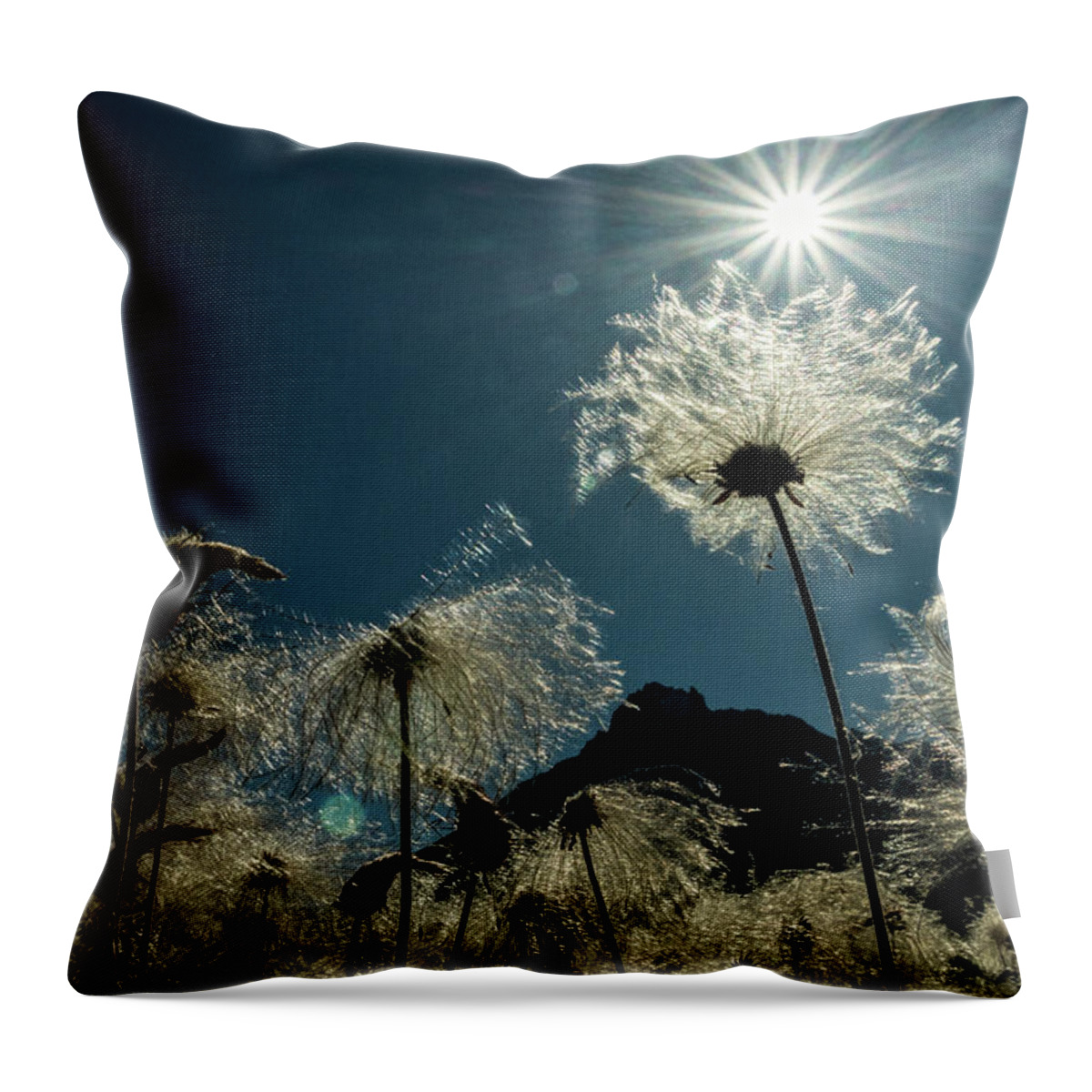 Alaska Throw Pillow featuring the photograph The Other World by Fred Denner