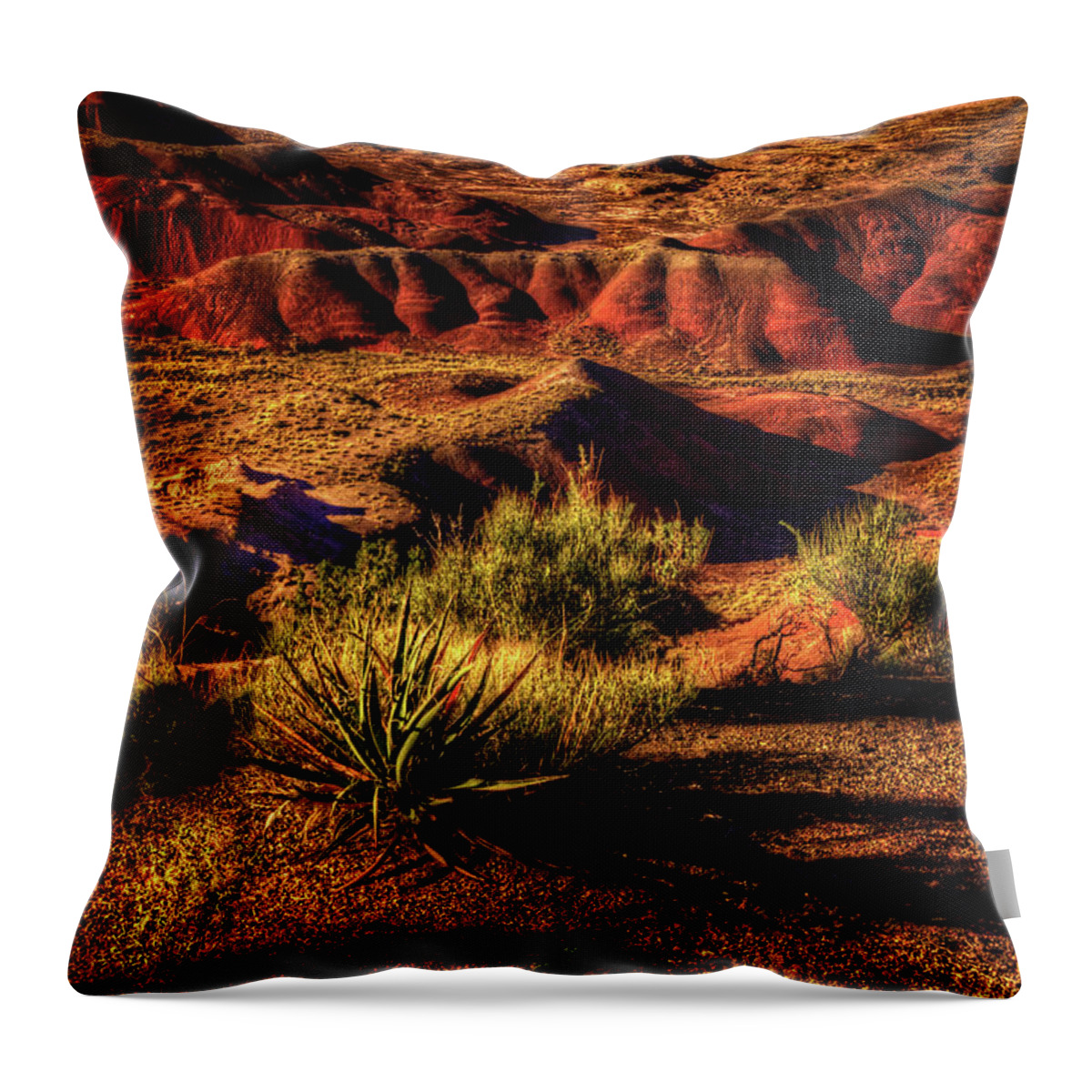 Arizona Throw Pillow featuring the photograph The Painted Desert from Kachina Point by Roger Passman