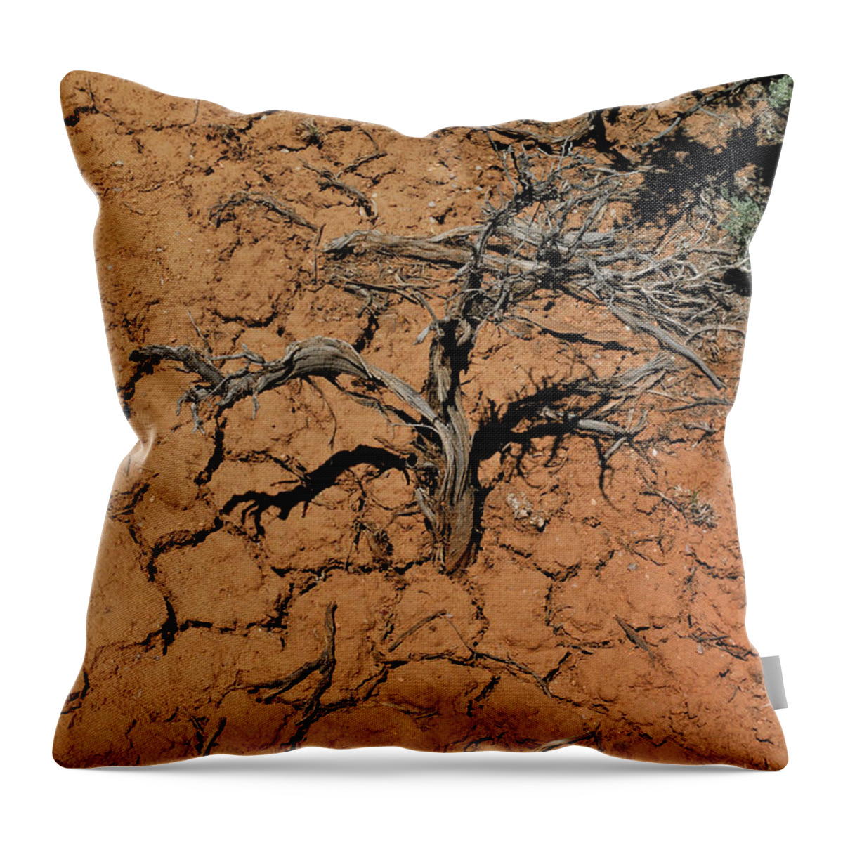 Landscape Throw Pillow featuring the photograph The Parched Earth by Ron Cline