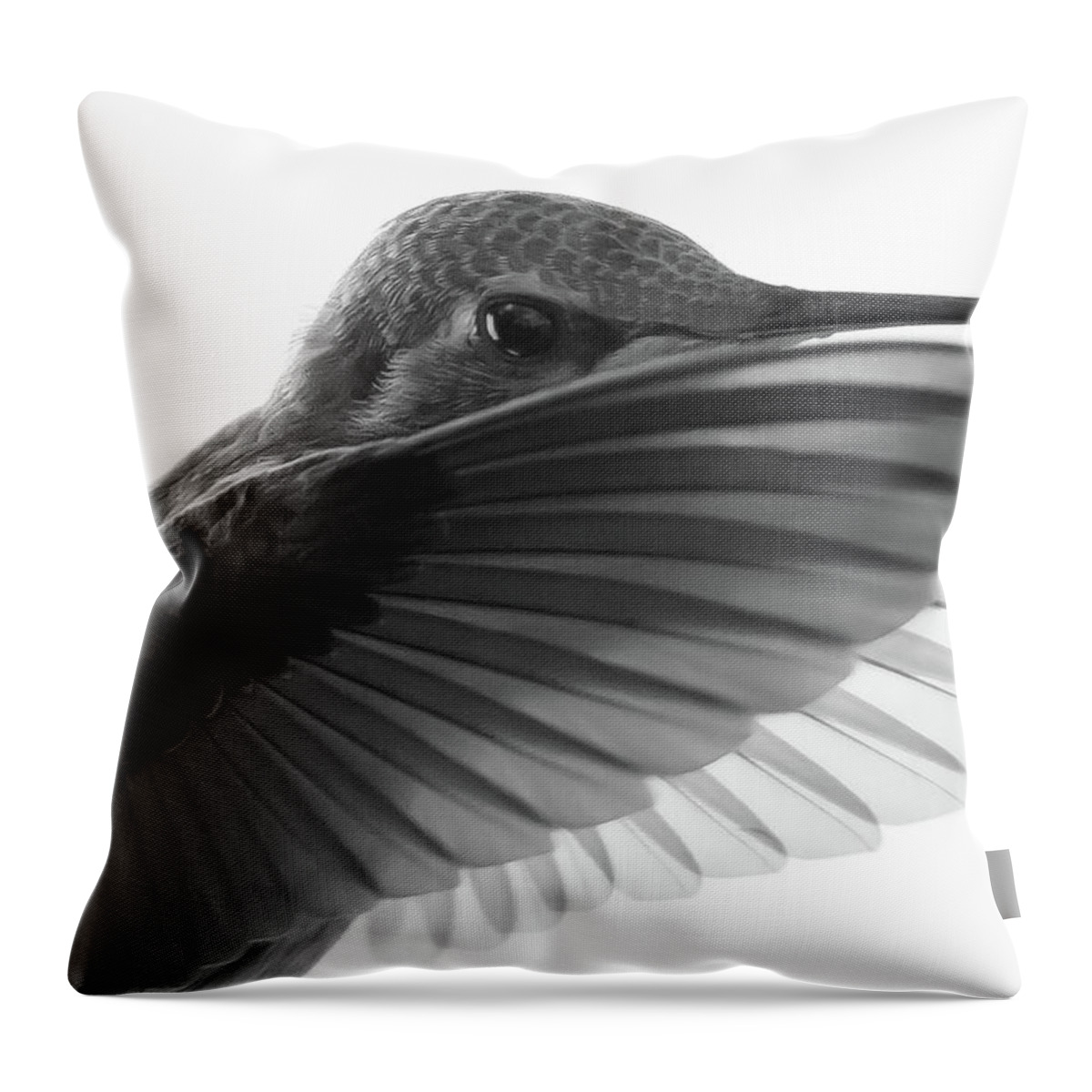Animal Throw Pillow featuring the photograph The Paso Doble by Briand Sanderson