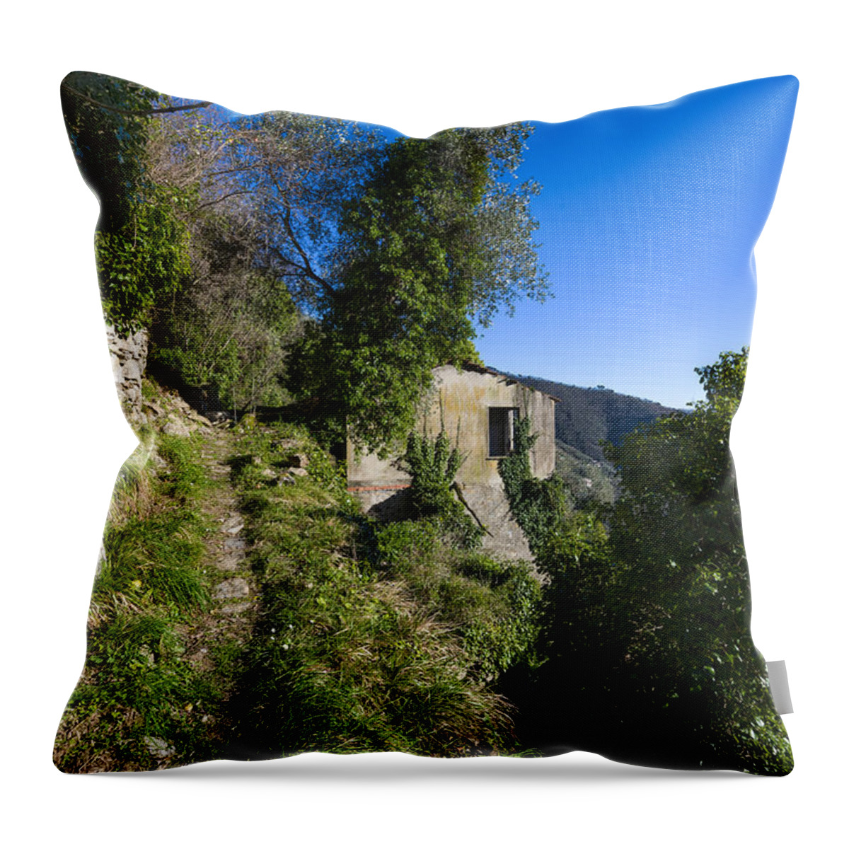 Zoagli Throw Pillow featuring the photograph The Path Near The Zoagli Old Abandoned House by Enrico Pelos