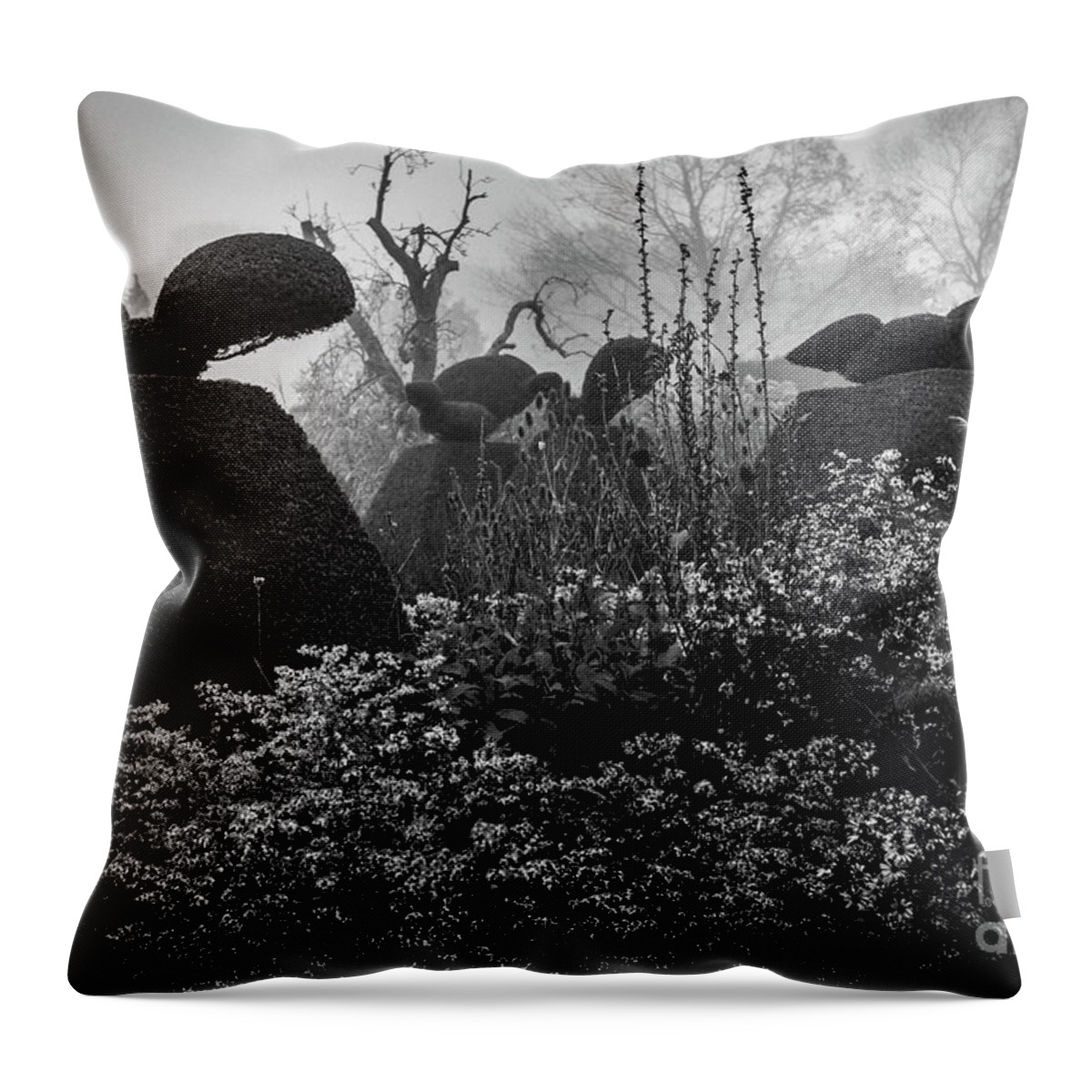 Plants Throw Pillow featuring the photograph The Peacock Garden, Great Dixter by Perry Rodriguez