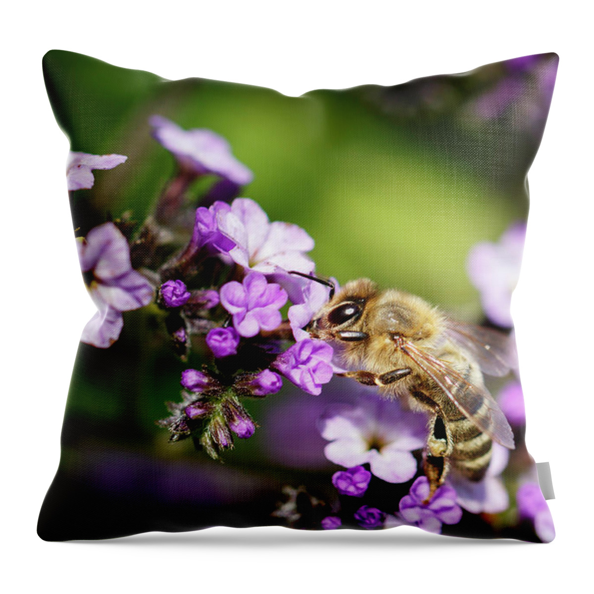 Bee Throw Pillow featuring the photograph The Pollinator by Rick Deacon
