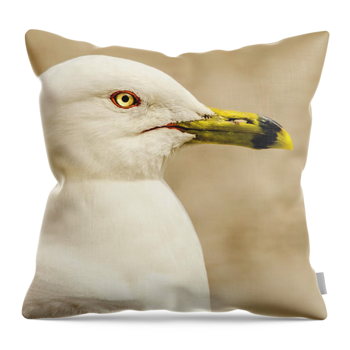 Great Lakes Gull Throw Pillow featuring the photograph The Proud Gull by John Roach