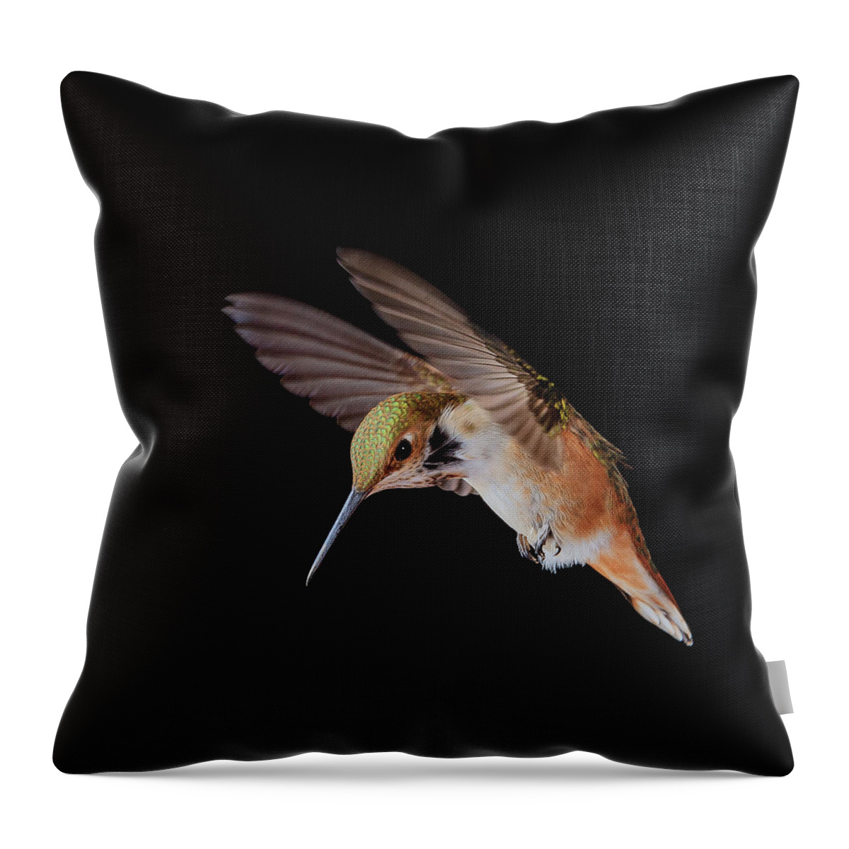 Animal Throw Pillow featuring the photograph The Provocateur by Briand Sanderson