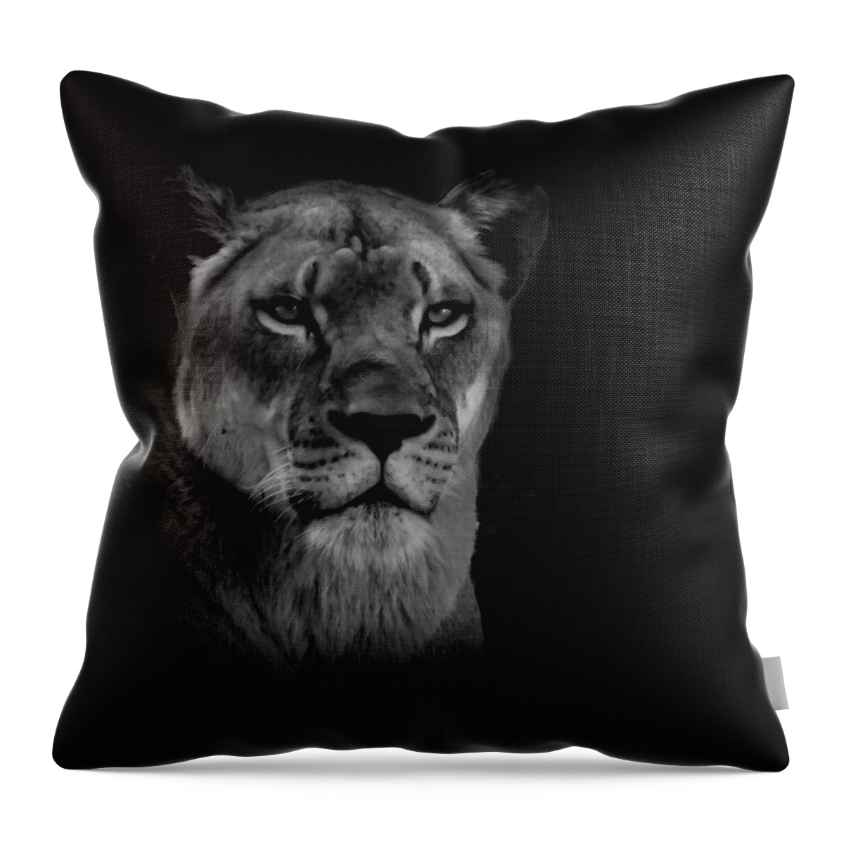 Lioness Throw Pillow featuring the photograph The Queen by Jaime Mercado