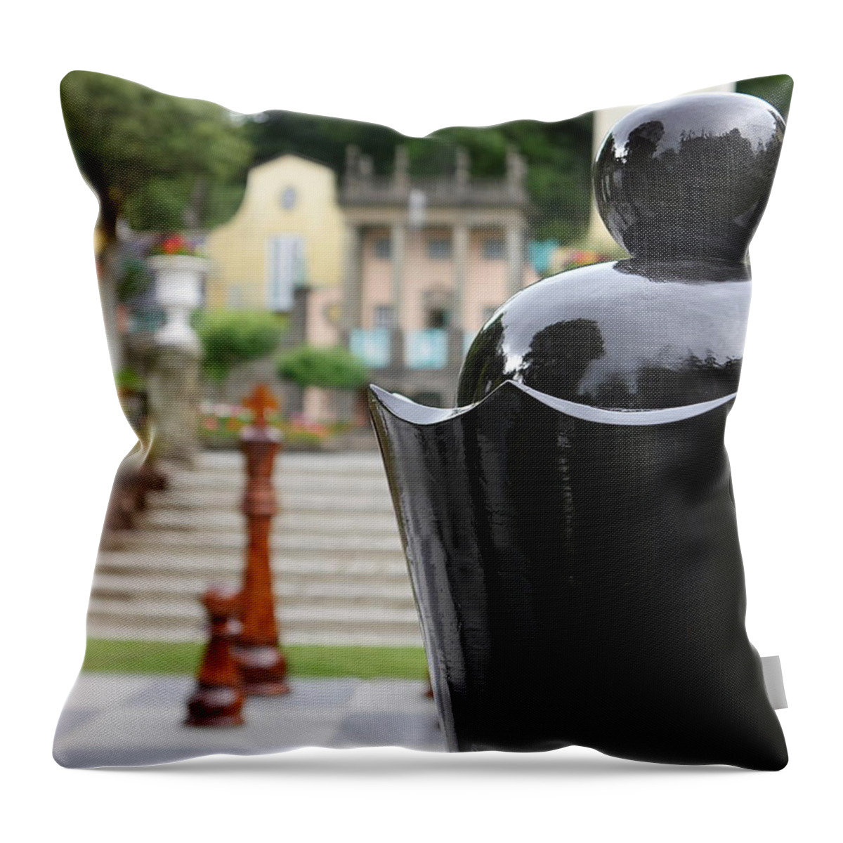 Richard Reeve Throw Pillow featuring the photograph The Queen by Richard Reeve