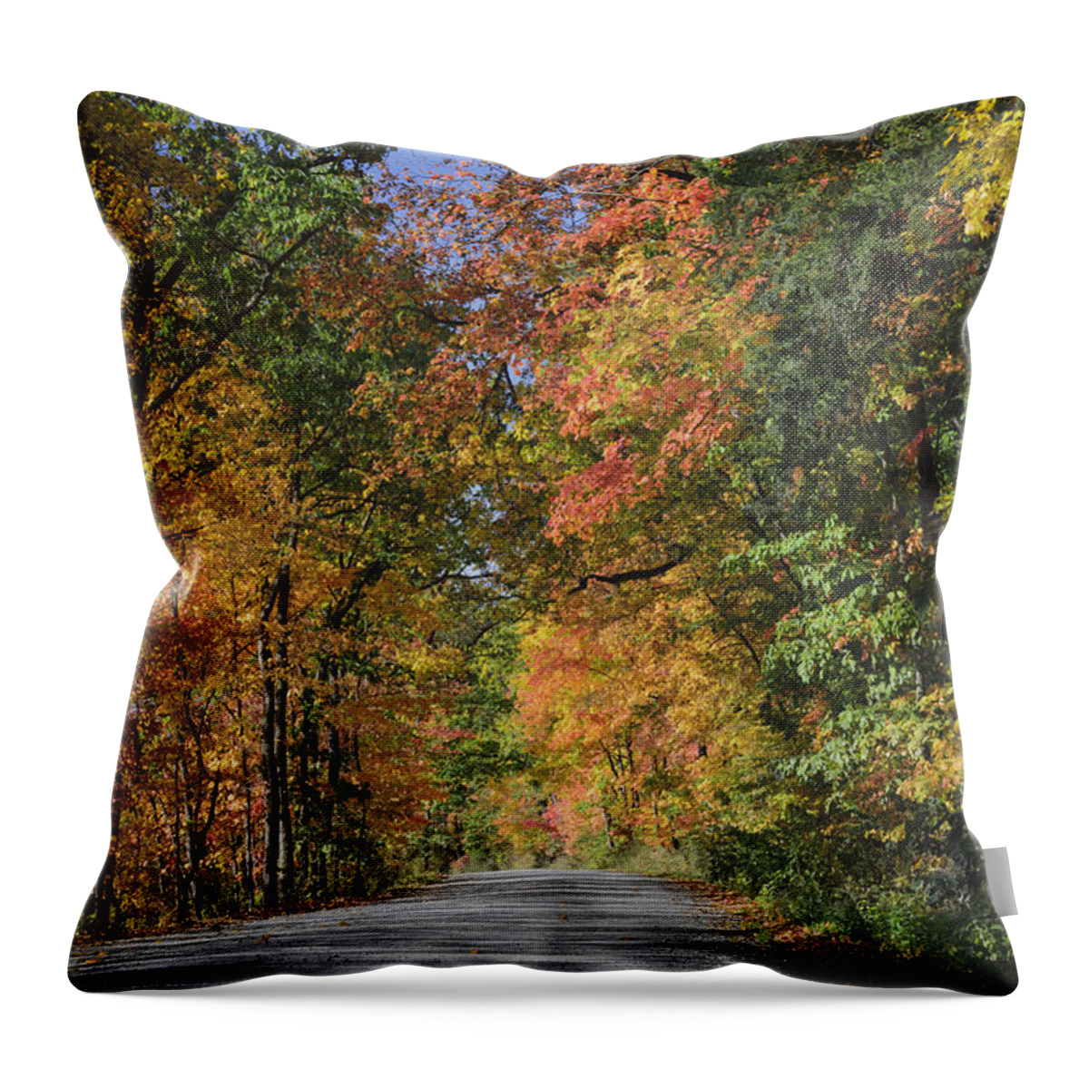 Autumn Throw Pillow featuring the photograph The Road To Color by Tamara Becker