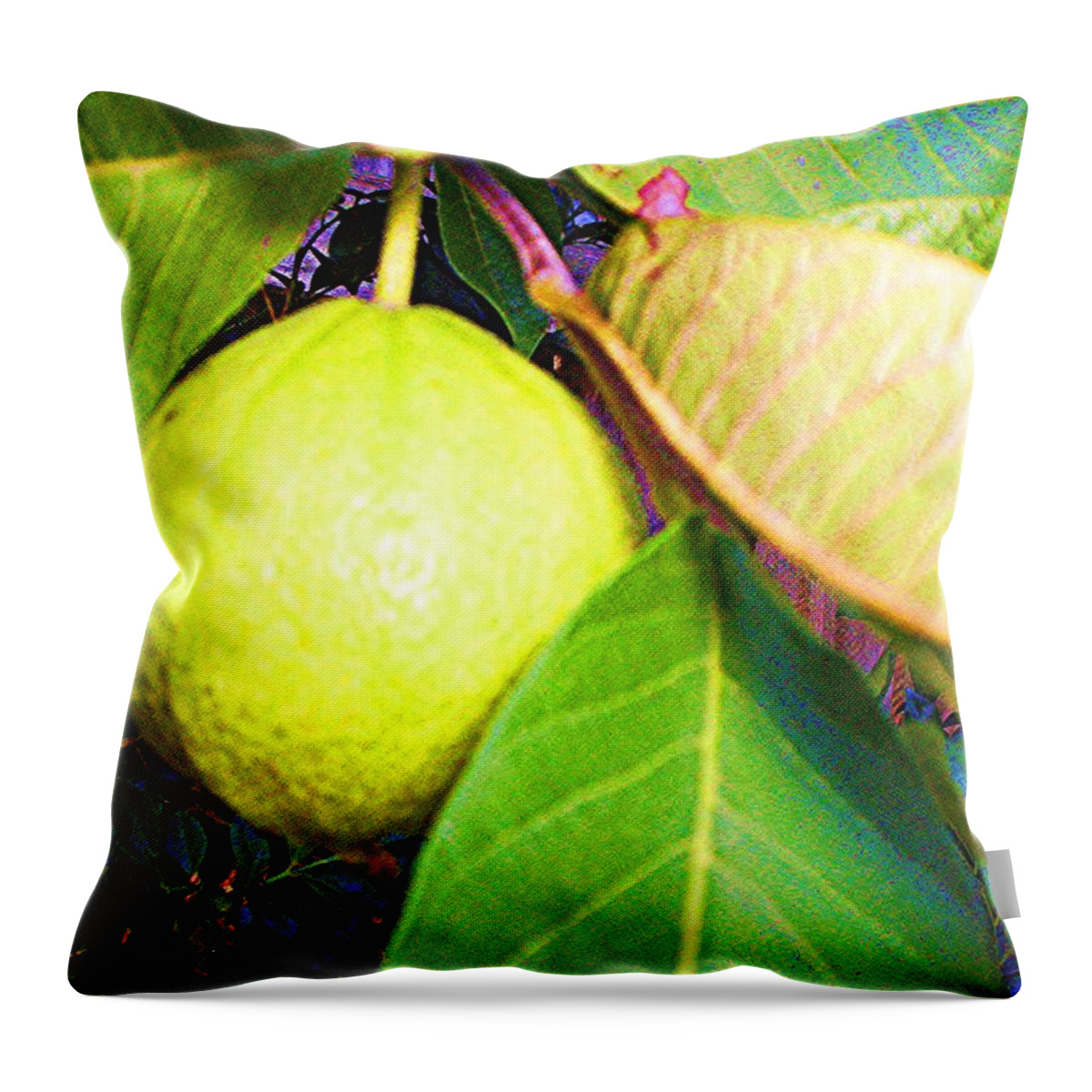 Rose Apple Throw Pillow featuring the digital art The Rose Apple by Winsome Gunning