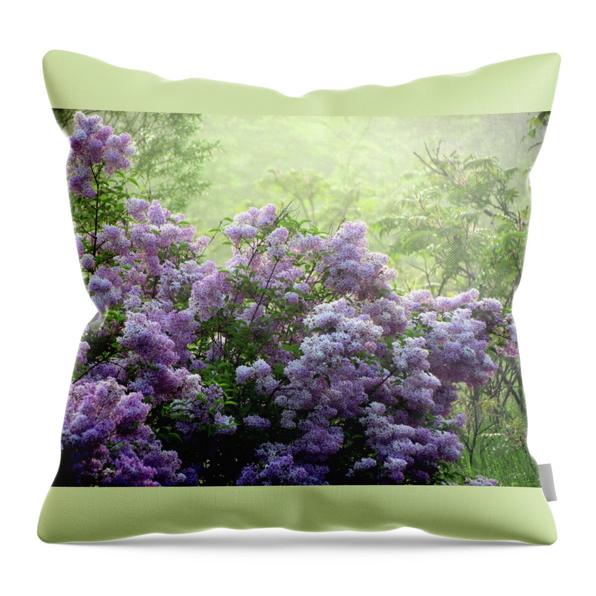 Fog Throw Pillow featuring the photograph The Scent of Lilacs by David T Wilkinson