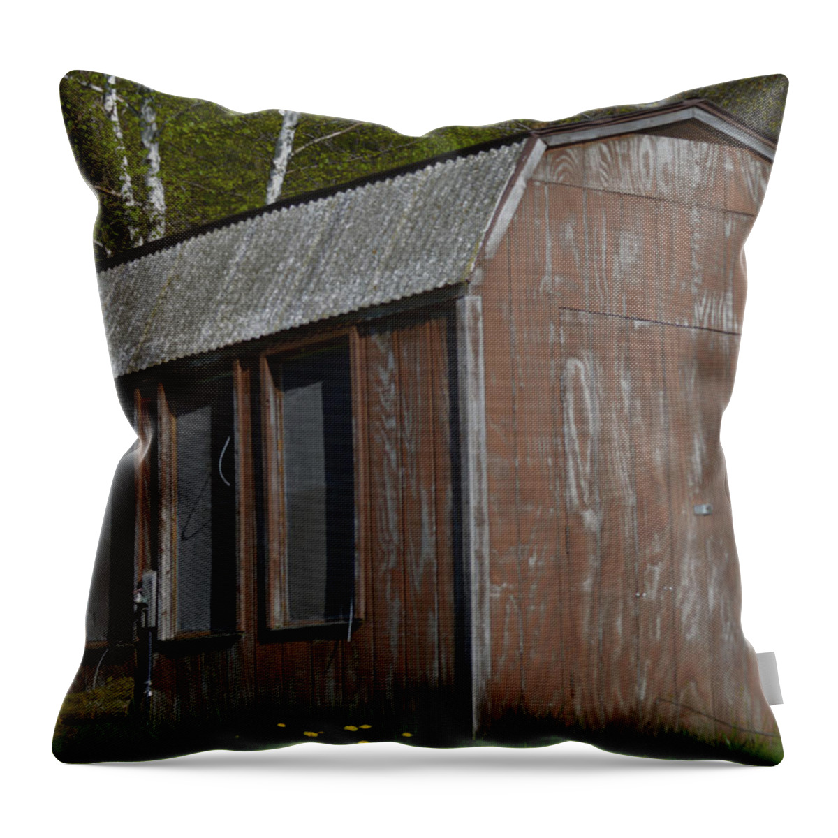  Throw Pillow featuring the photograph The Shed by Michelle Hoffmann
