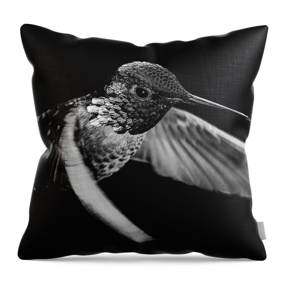 Adult Throw Pillow featuring the photograph The Silver Inquisitor by Briand Sanderson