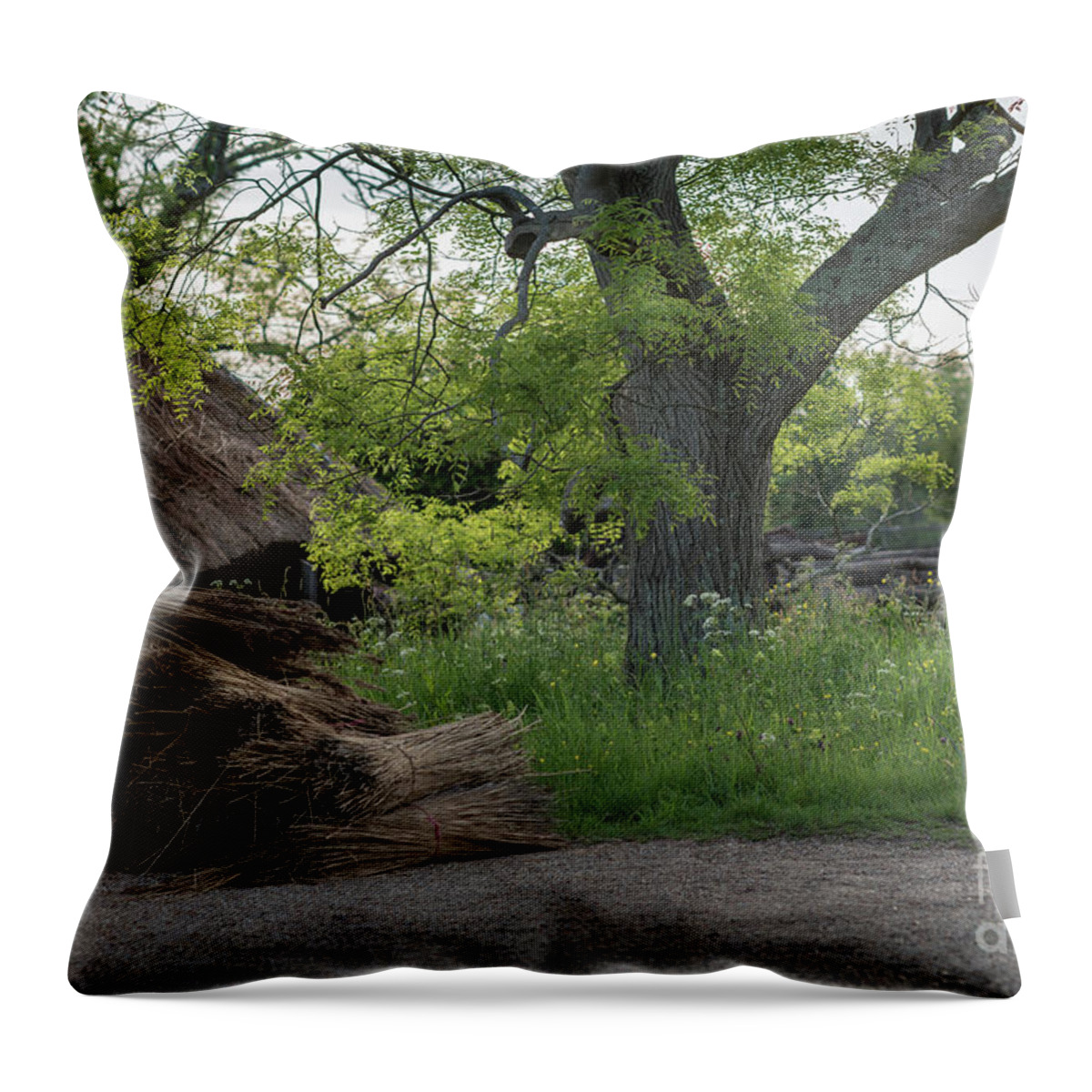 Thatched Throw Pillow featuring the photograph The Thatched Roof, Great Dixter by Perry Rodriguez