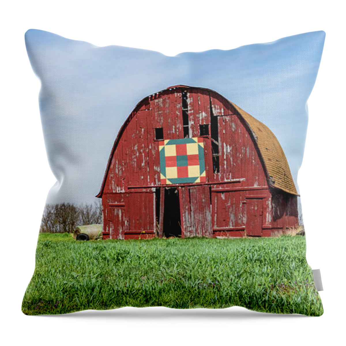 Barn Throw Pillow featuring the photograph The Trail by Holly Ross