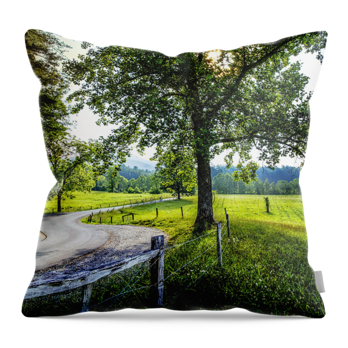 Appalachia Throw Pillow featuring the photograph The Valley at Cades Cove by Debra and Dave Vanderlaan