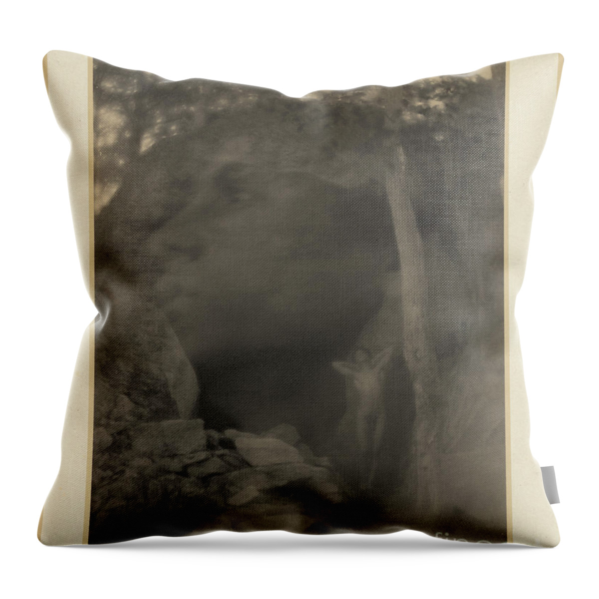 Erotica Throw Pillow featuring the photograph The Vision In Orpheus, F. Holland Day by Science Source