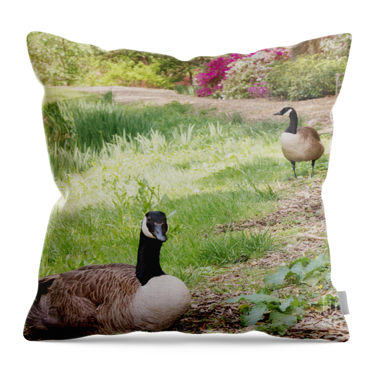 Canada Geese Throw Pillow featuring the photograph The Watchman by Chris Scroggins