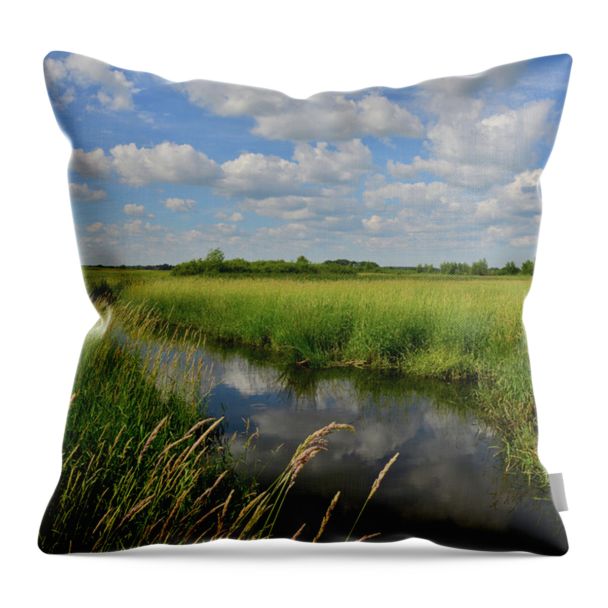 Glacial Park Throw Pillow featuring the photograph The Wetlands of Hackmatack National Wildlife Refuge by Ray Mathis