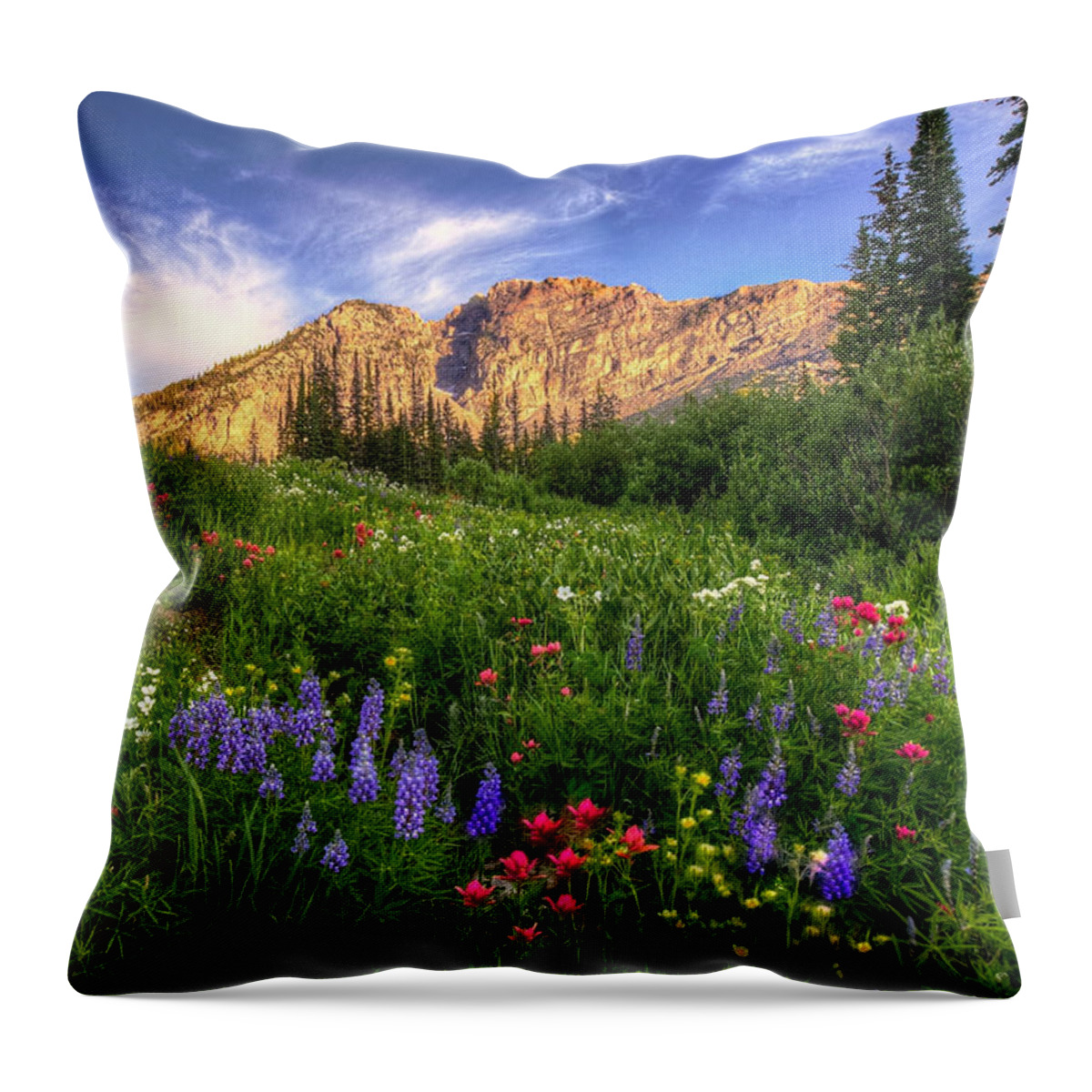 Albion Basin Throw Pillow featuring the photograph The Wild Albion Basin by Ryan Smith