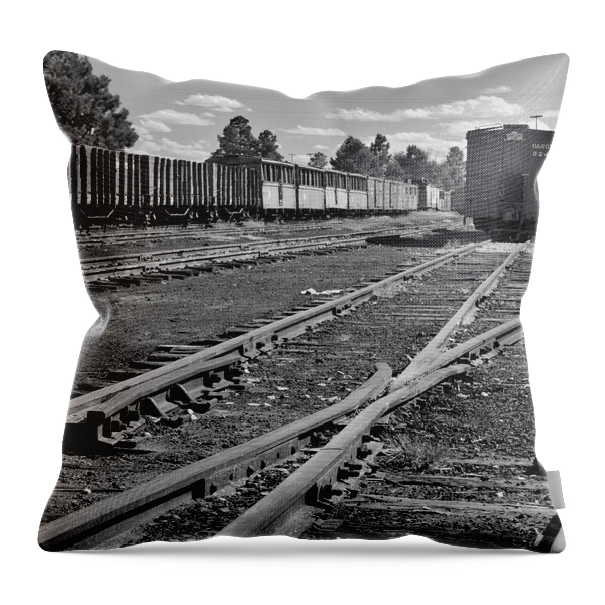 Trains Throw Pillow featuring the photograph The Yard by Ron Cline