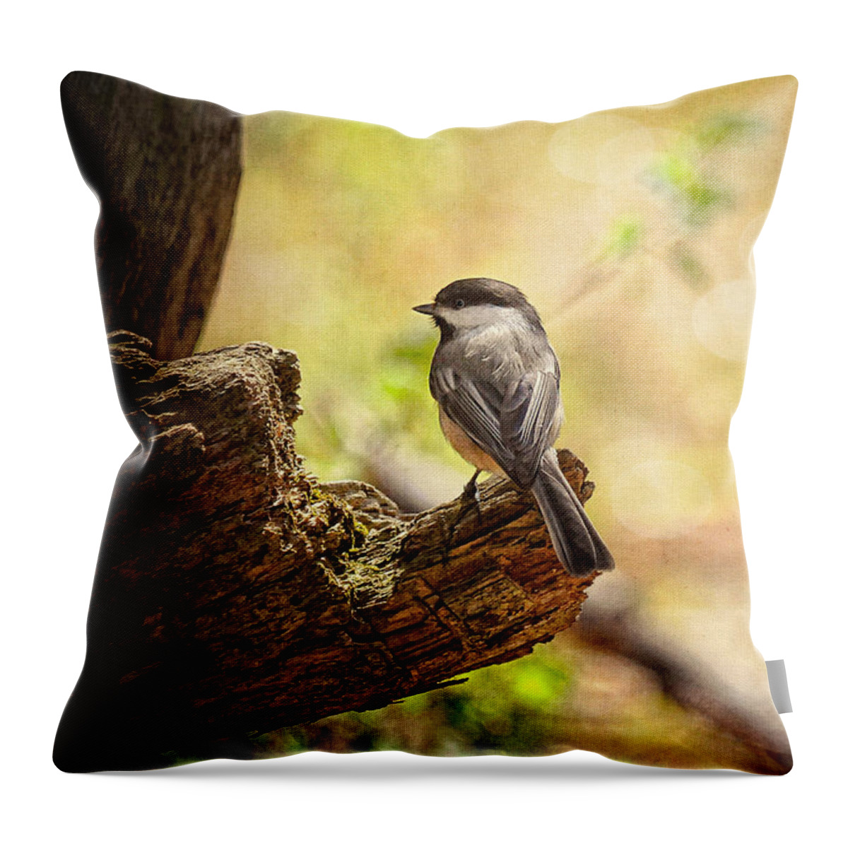 Bird Throw Pillow featuring the photograph Thinking of Spring by Lois Bryan
