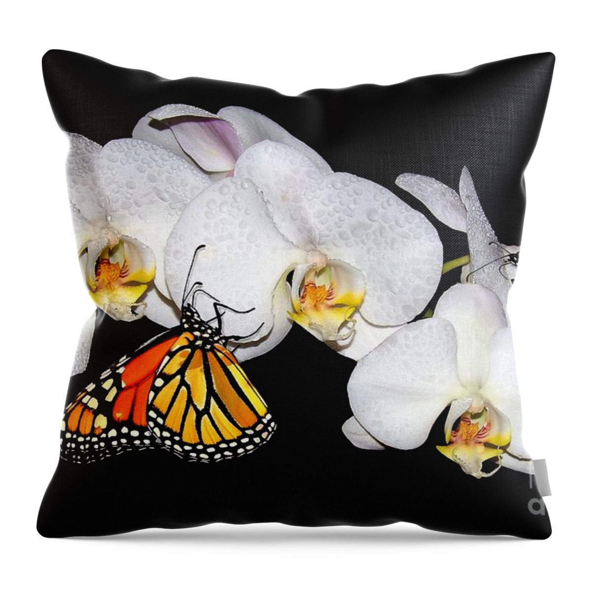  Throw Pillow featuring the photograph Thirsty Butterflies by Patrick Witz