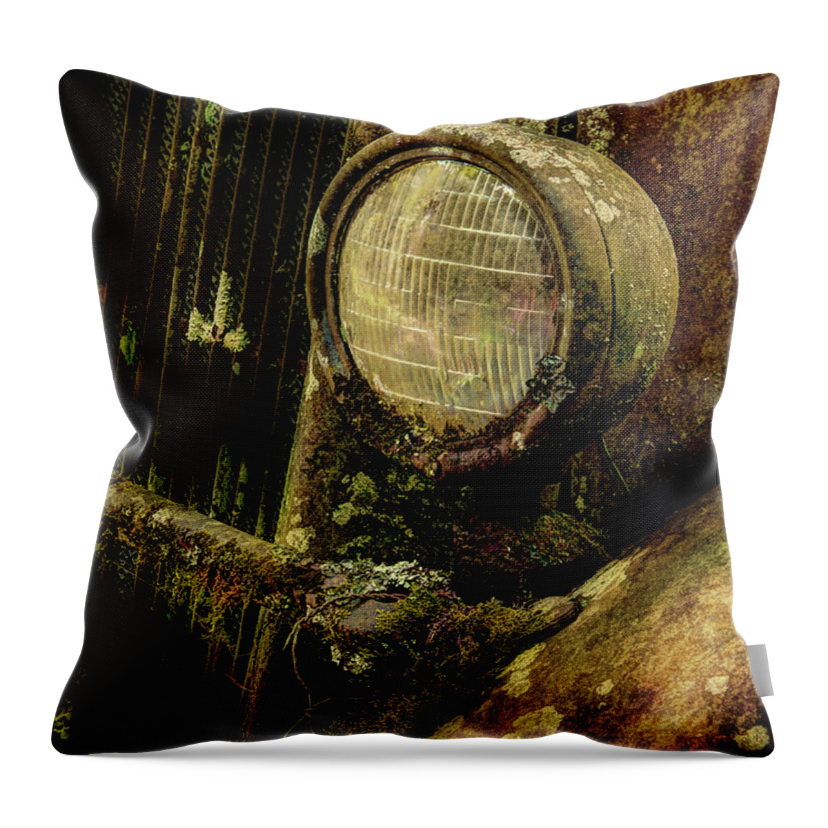 Antique Truck Throw Pillow featuring the photograph This Old Truck by Mike Eingle