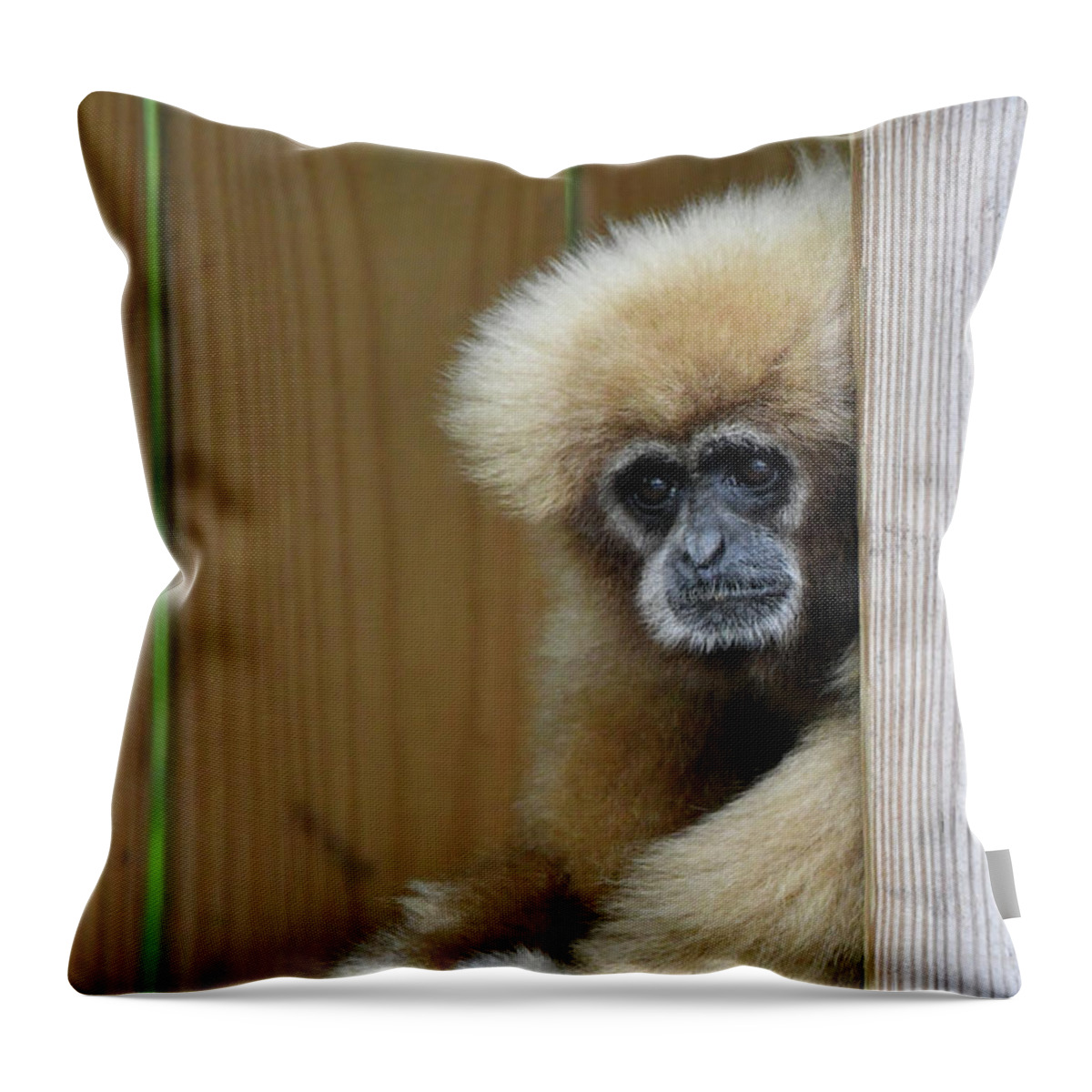 Monkey Throw Pillow featuring the photograph Thoughtful by Artful Imagery