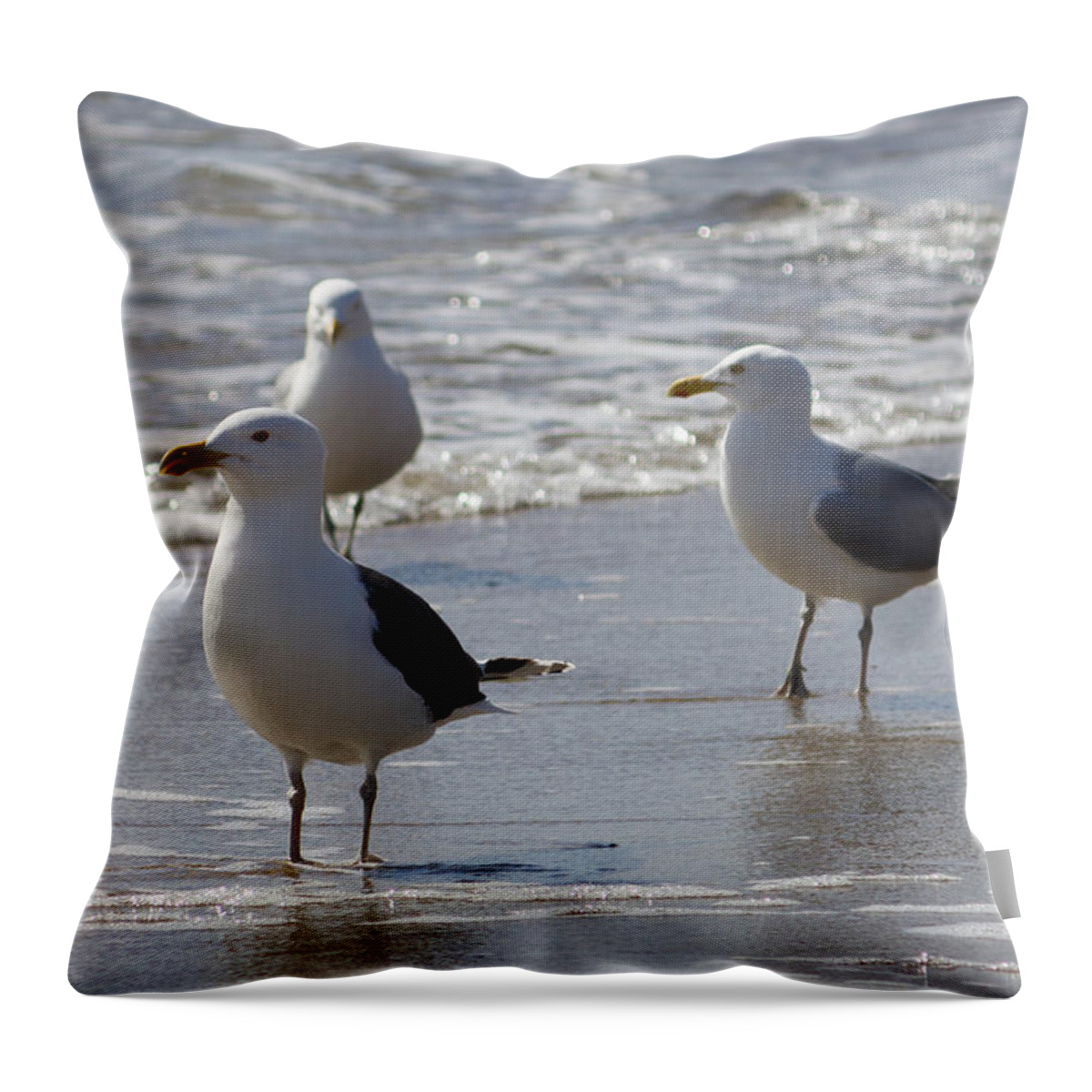 Seagulls Throw Pillow featuring the photograph Three Of a Kind - Seagulls by Kirkodd Photography Of New England