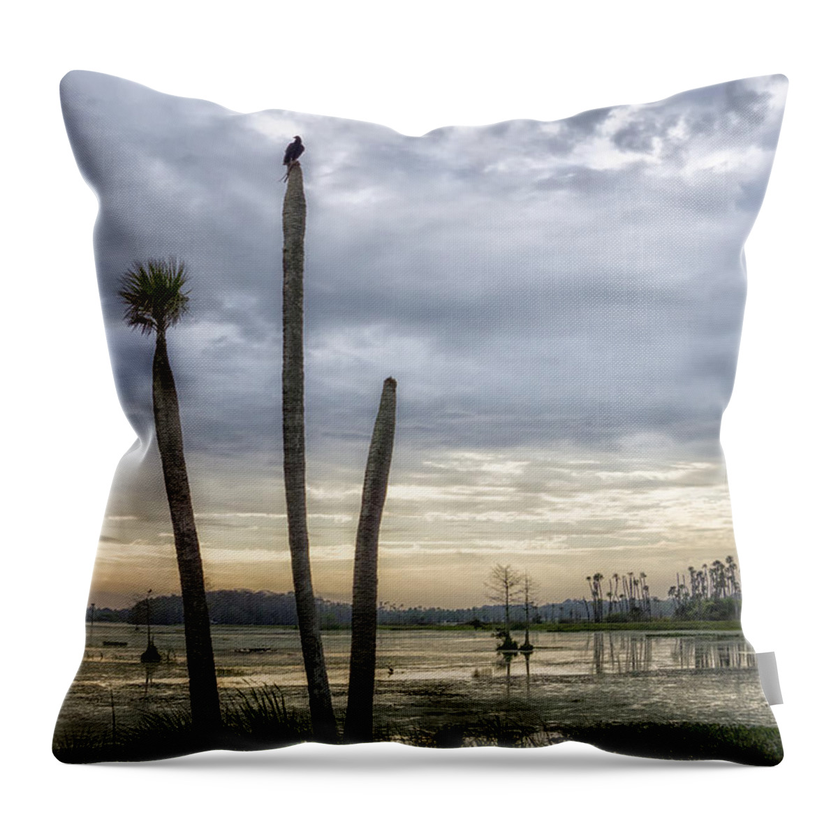 Crystal Yingling Throw Pillow featuring the photograph Three Sticks by Ghostwinds Photography
